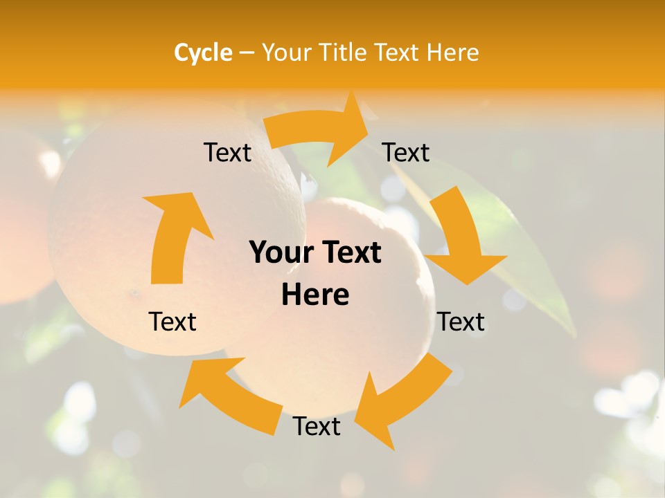 Farming Healthy Citrus PowerPoint Template