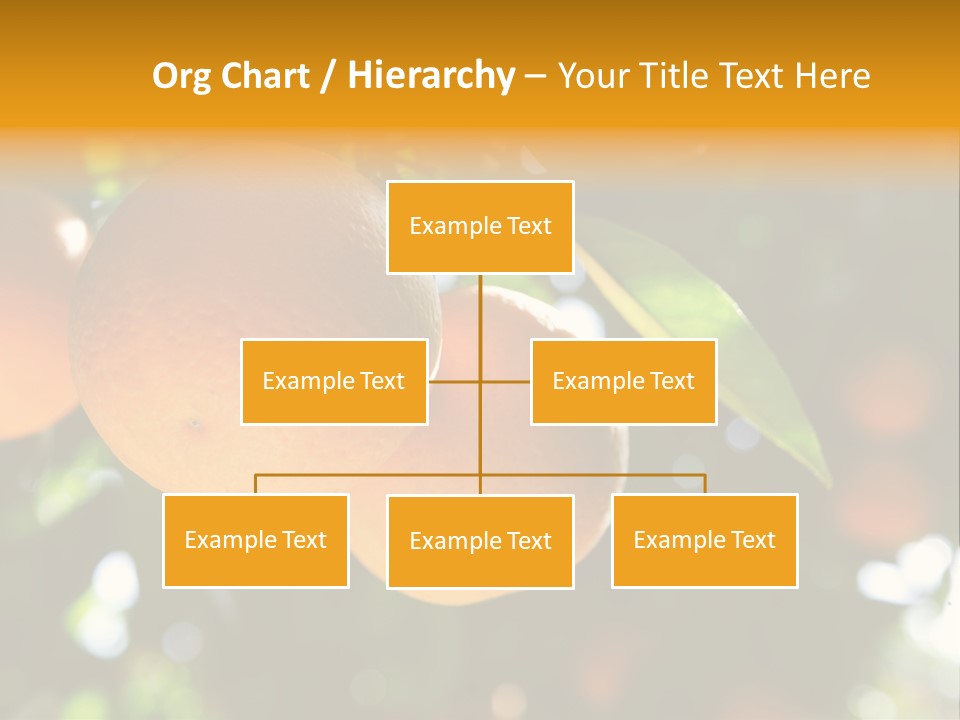 Farming Healthy Citrus PowerPoint Template