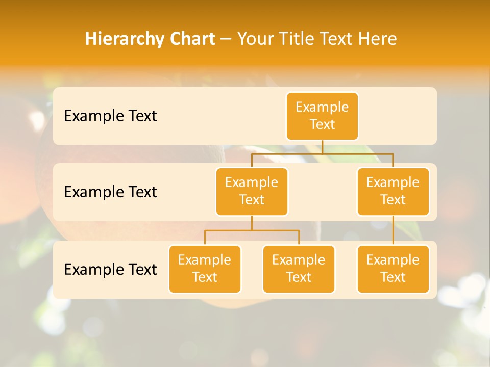 Farming Healthy Citrus PowerPoint Template