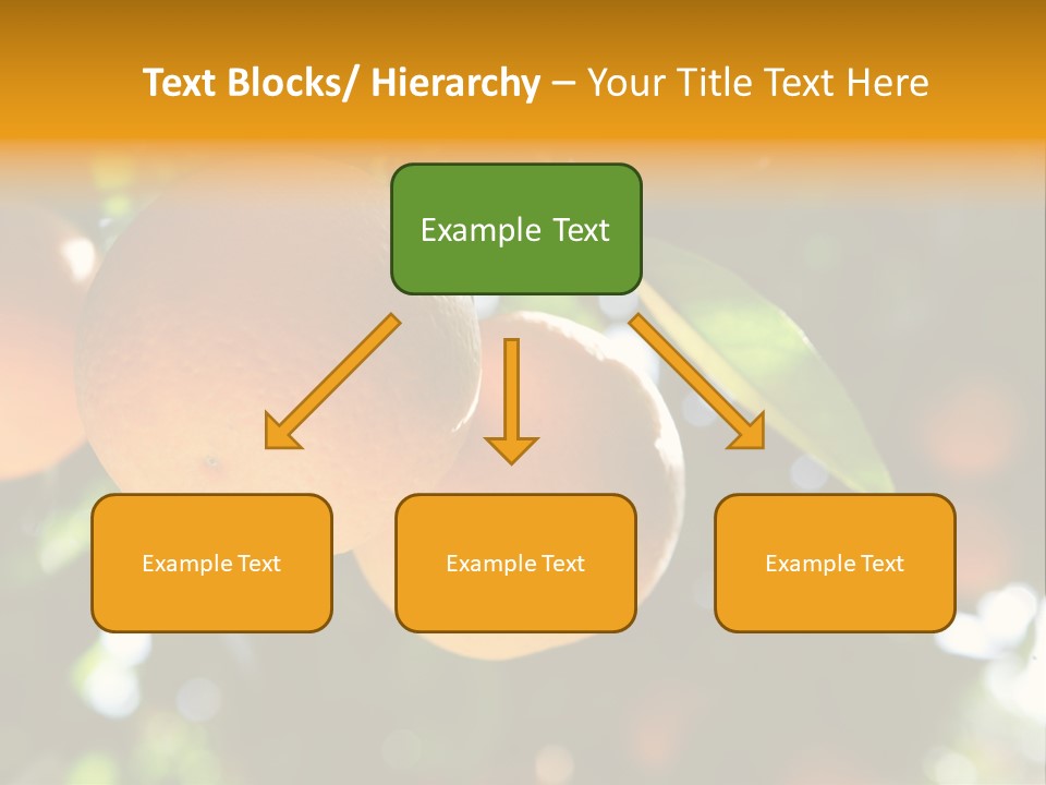 Farming Healthy Citrus PowerPoint Template