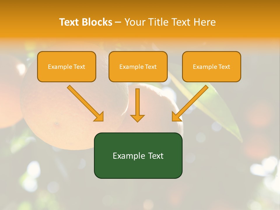 Farming Healthy Citrus PowerPoint Template