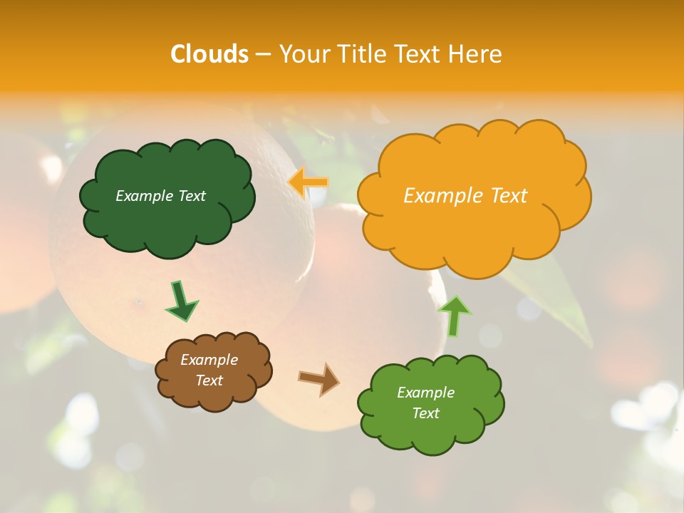 Farming Healthy Citrus PowerPoint Template