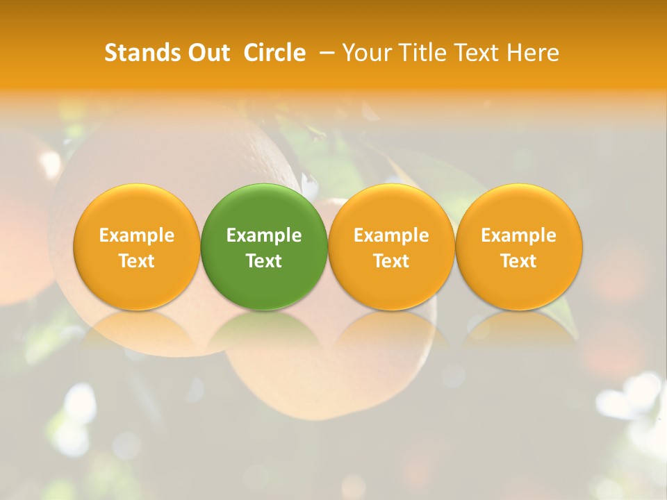 Farming Healthy Citrus PowerPoint Template
