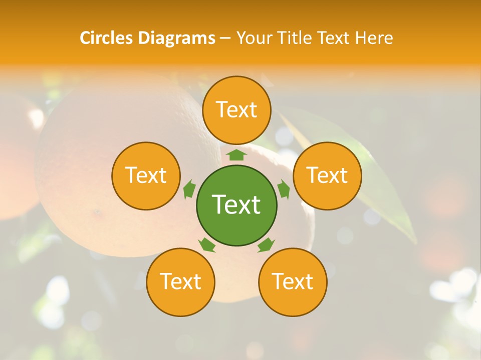 Farming Healthy Citrus PowerPoint Template