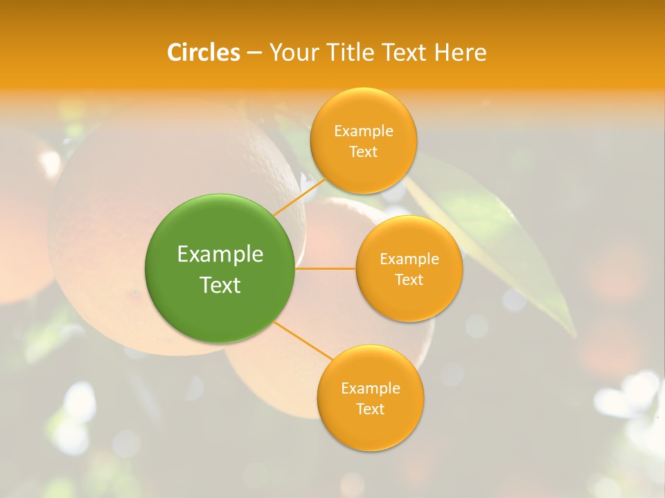 Farming Healthy Citrus PowerPoint Template