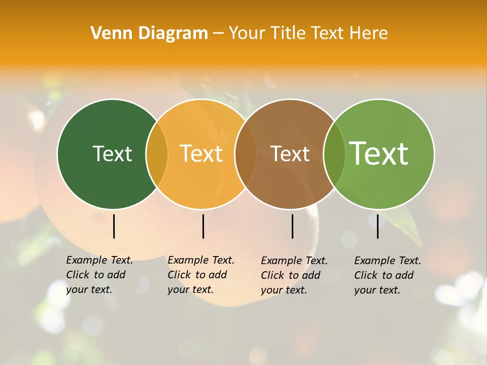 Farming Healthy Citrus PowerPoint Template