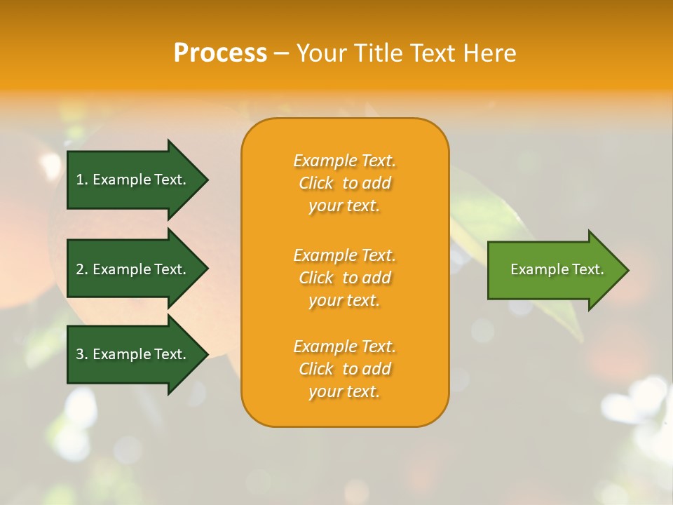 Farming Healthy Citrus PowerPoint Template