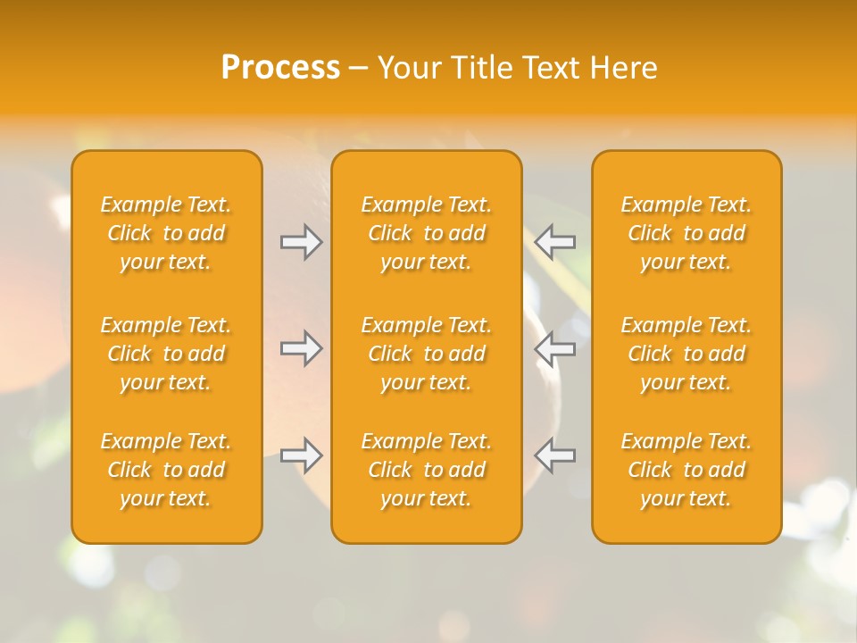Farming Healthy Citrus PowerPoint Template