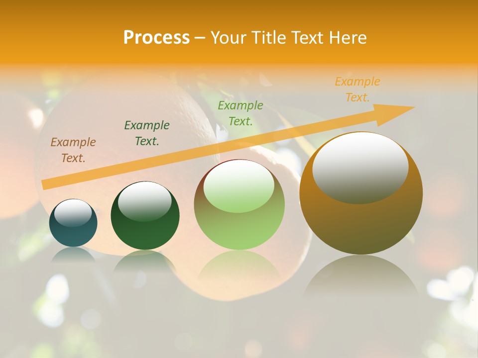 Farming Healthy Citrus PowerPoint Template
