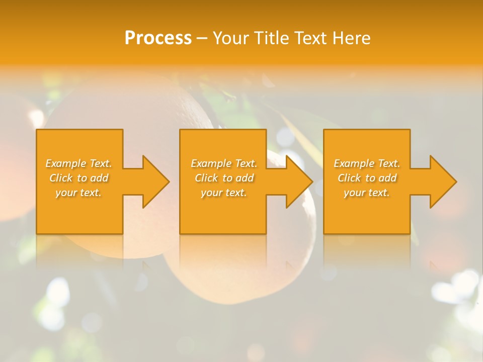 Farming Healthy Citrus PowerPoint Template