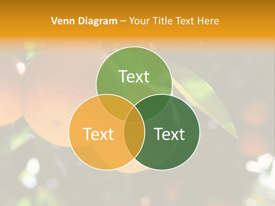 Farming Healthy Citrus PowerPoint Template