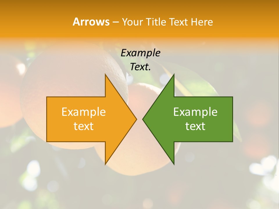 Farming Healthy Citrus PowerPoint Template