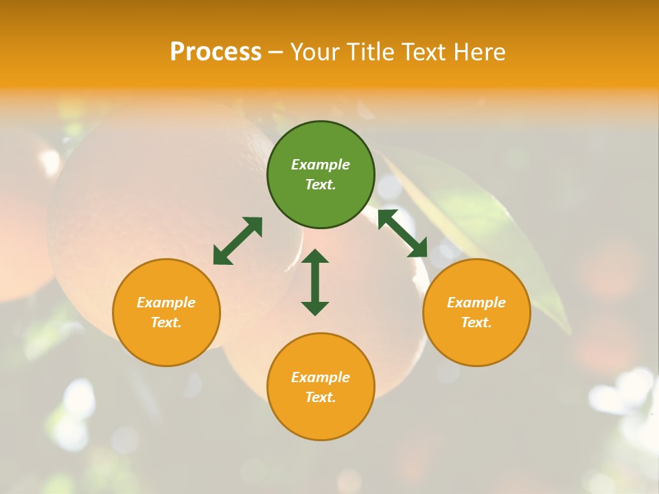 Farming Healthy Citrus PowerPoint Template