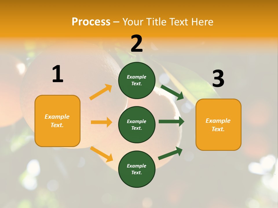 Farming Healthy Citrus PowerPoint Template