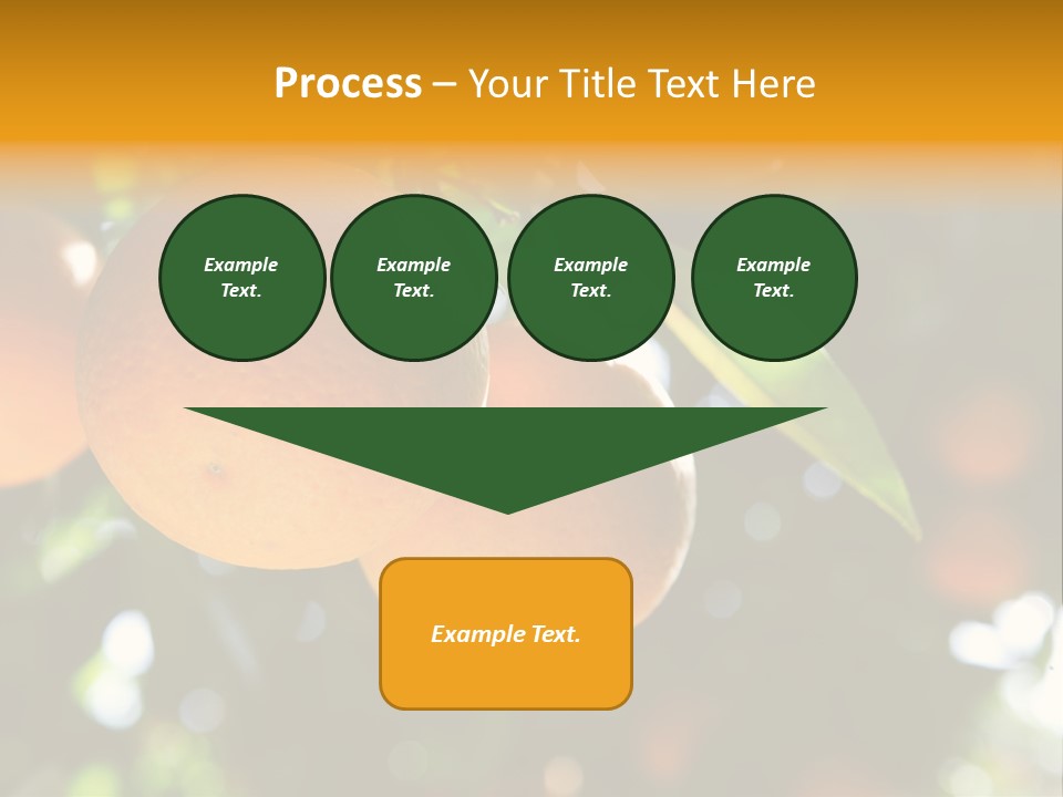Farming Healthy Citrus PowerPoint Template