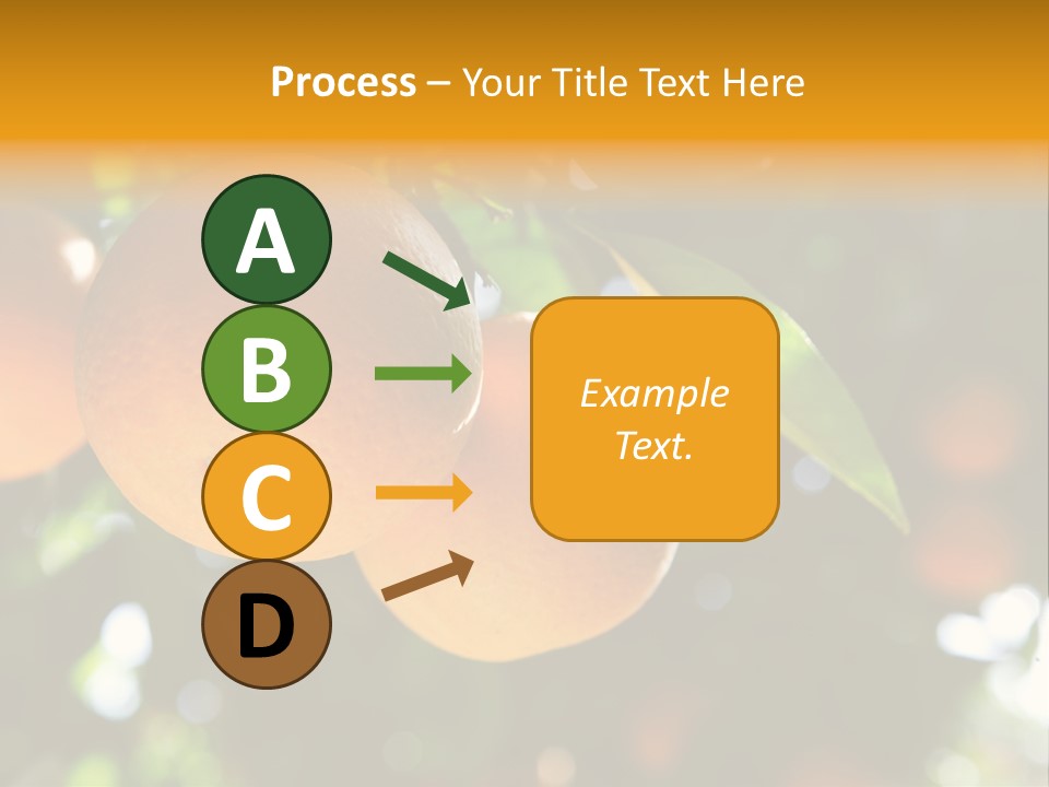 Farming Healthy Citrus PowerPoint Template