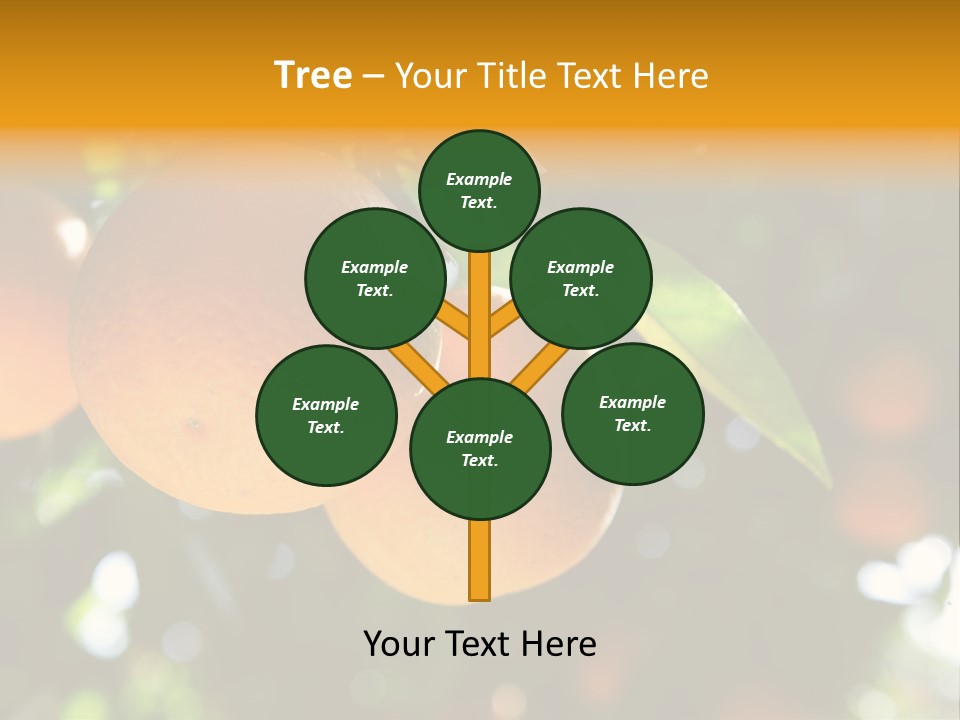 Farming Healthy Citrus PowerPoint Template