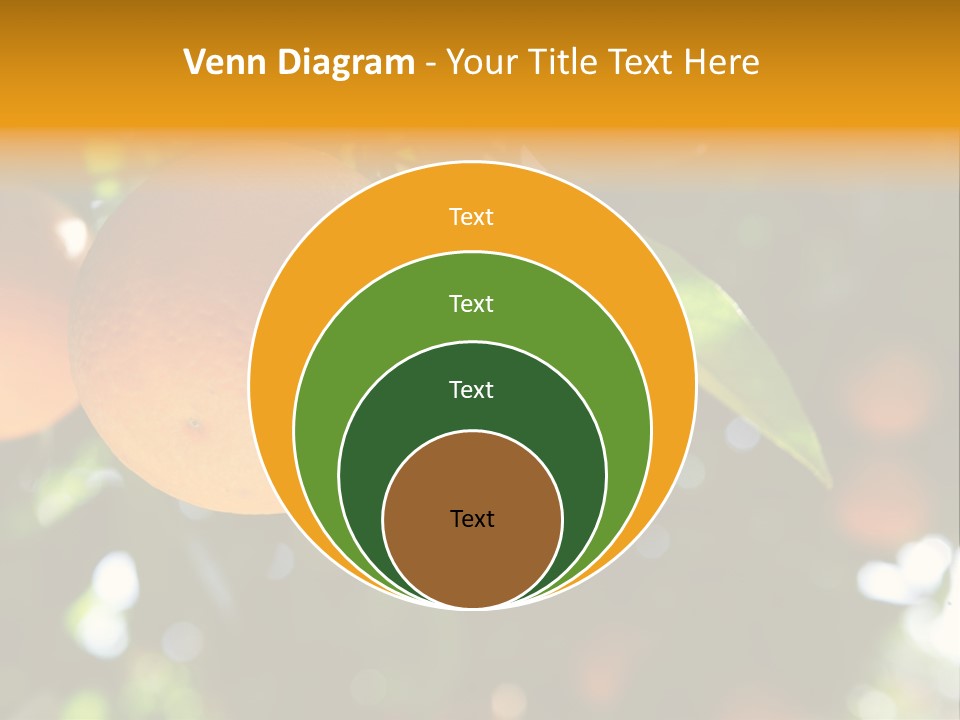 Farming Healthy Citrus PowerPoint Template