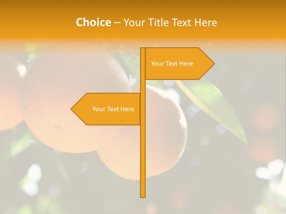 Farming Healthy Citrus PowerPoint Template