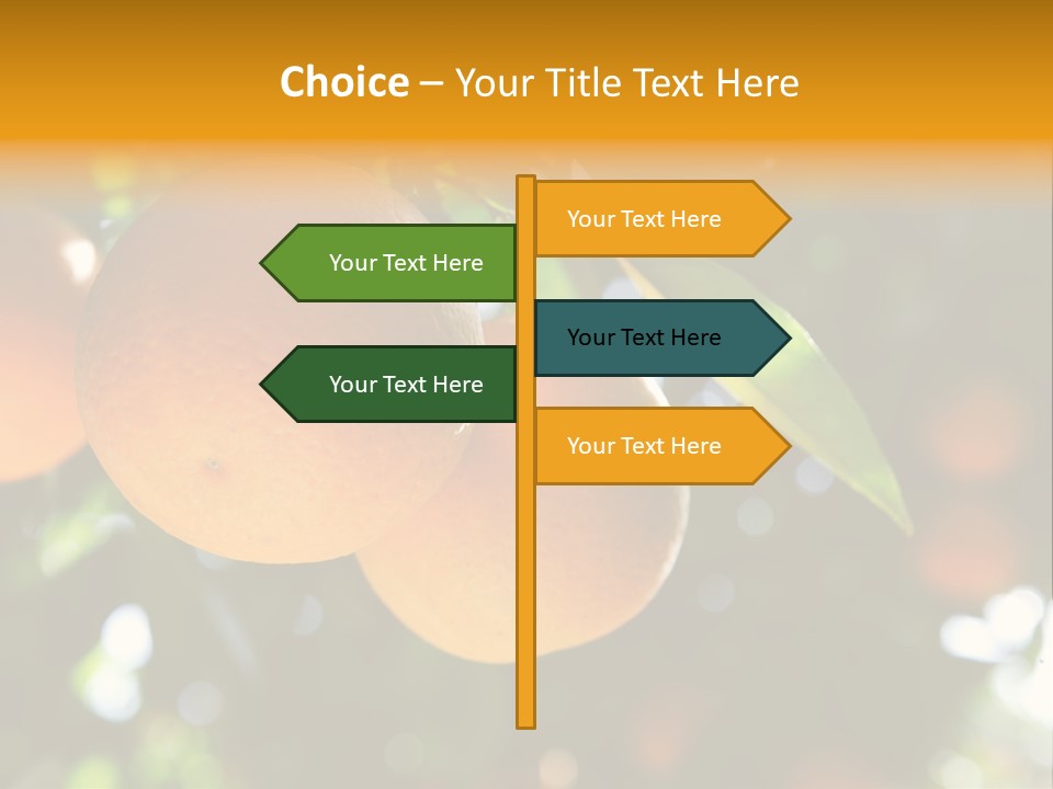 Farming Healthy Citrus PowerPoint Template