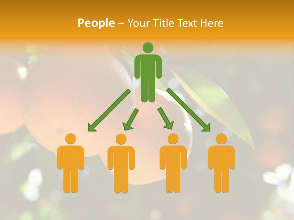 Farming Healthy Citrus PowerPoint Template