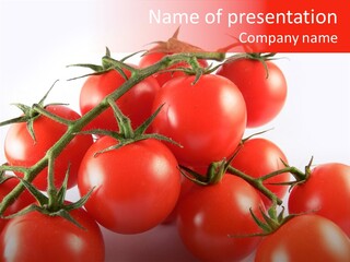 Protein Isolated Harvest PowerPoint Template