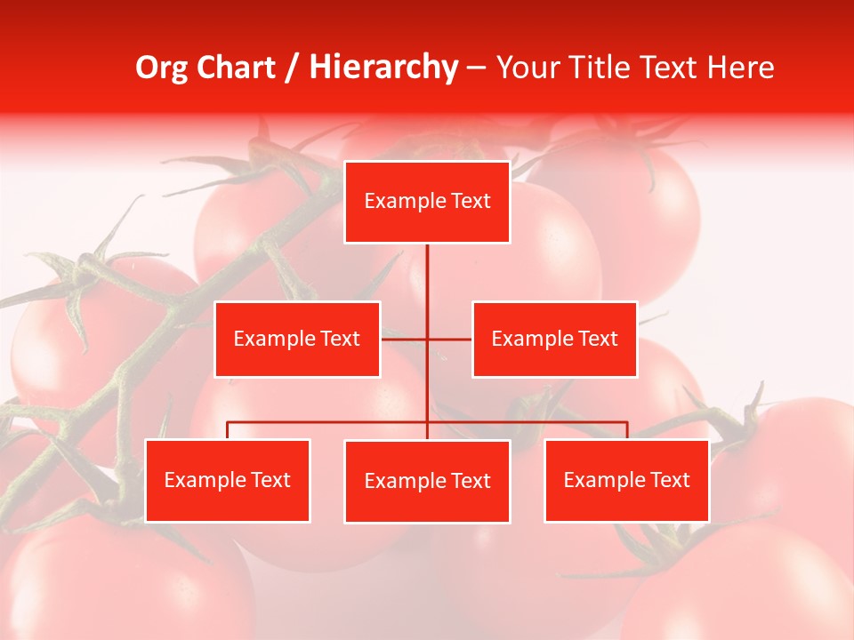 Protein Isolated Harvest PowerPoint Template