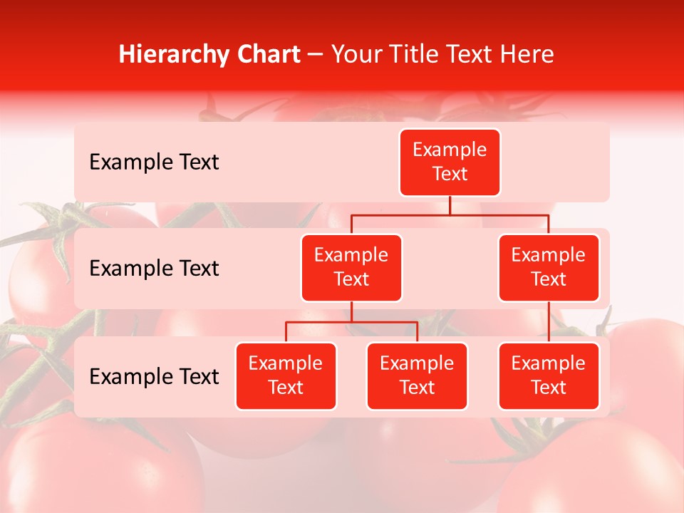 Protein Isolated Harvest PowerPoint Template