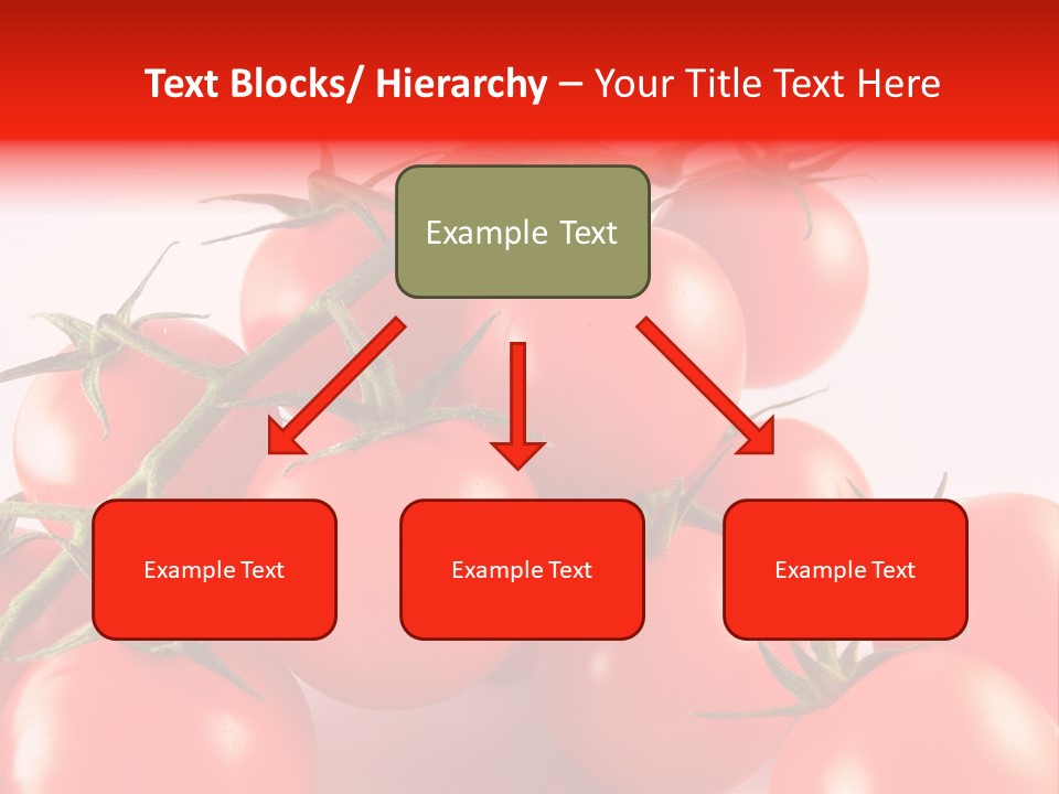 Protein Isolated Harvest PowerPoint Template