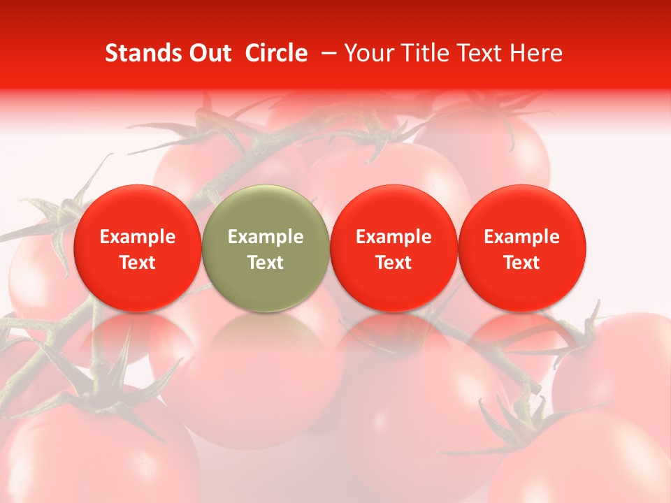 Protein Isolated Harvest PowerPoint Template