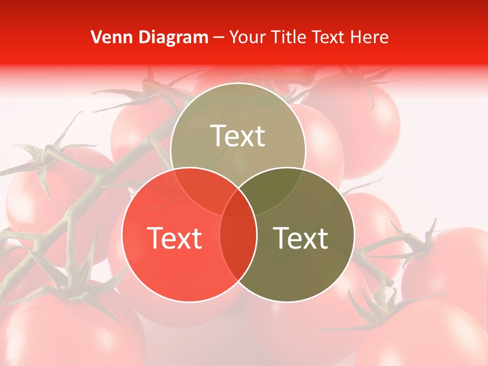 Protein Isolated Harvest PowerPoint Template