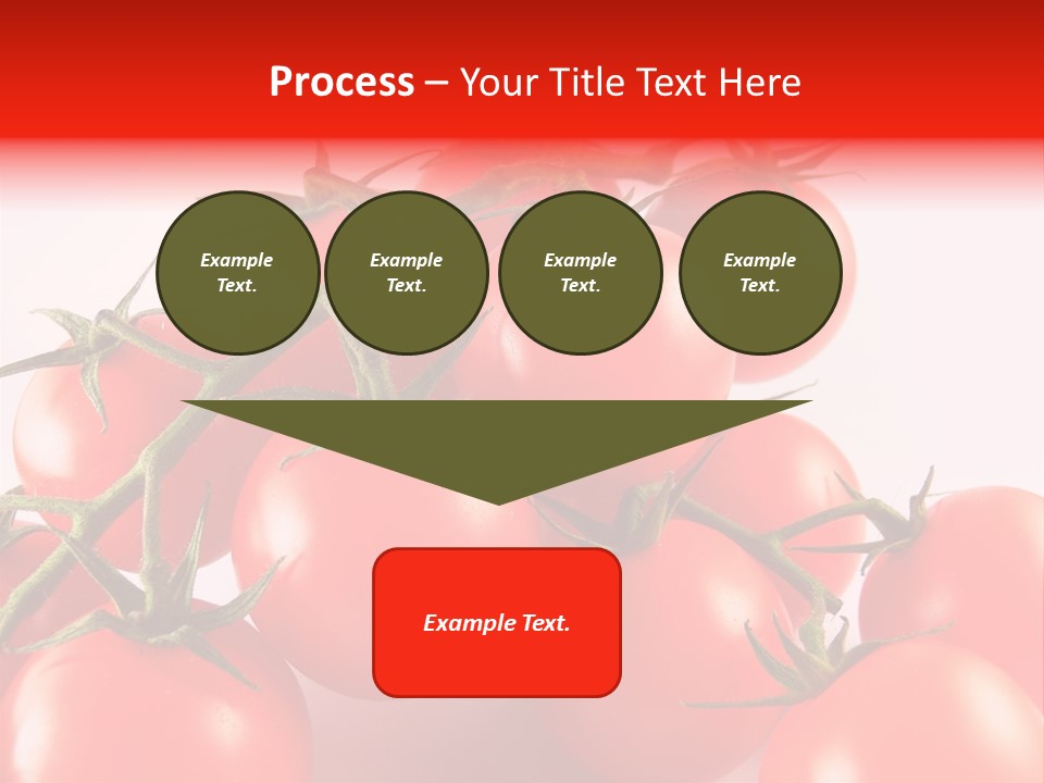 Protein Isolated Harvest PowerPoint Template
