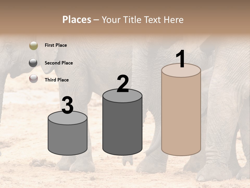A Group Of Elephants Standing Next To Each Other PowerPoint Template