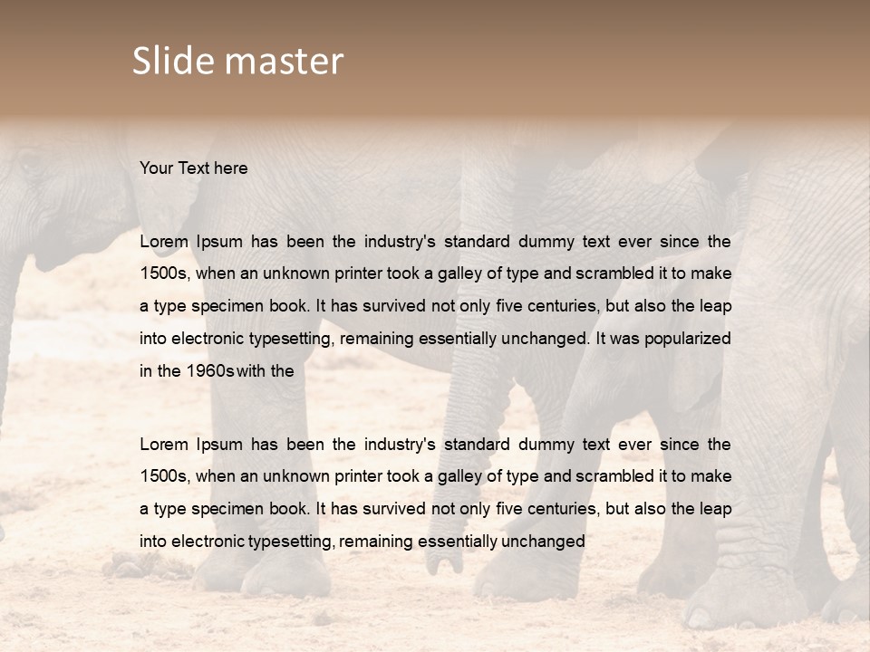 A Group Of Elephants Standing Next To Each Other PowerPoint Template
