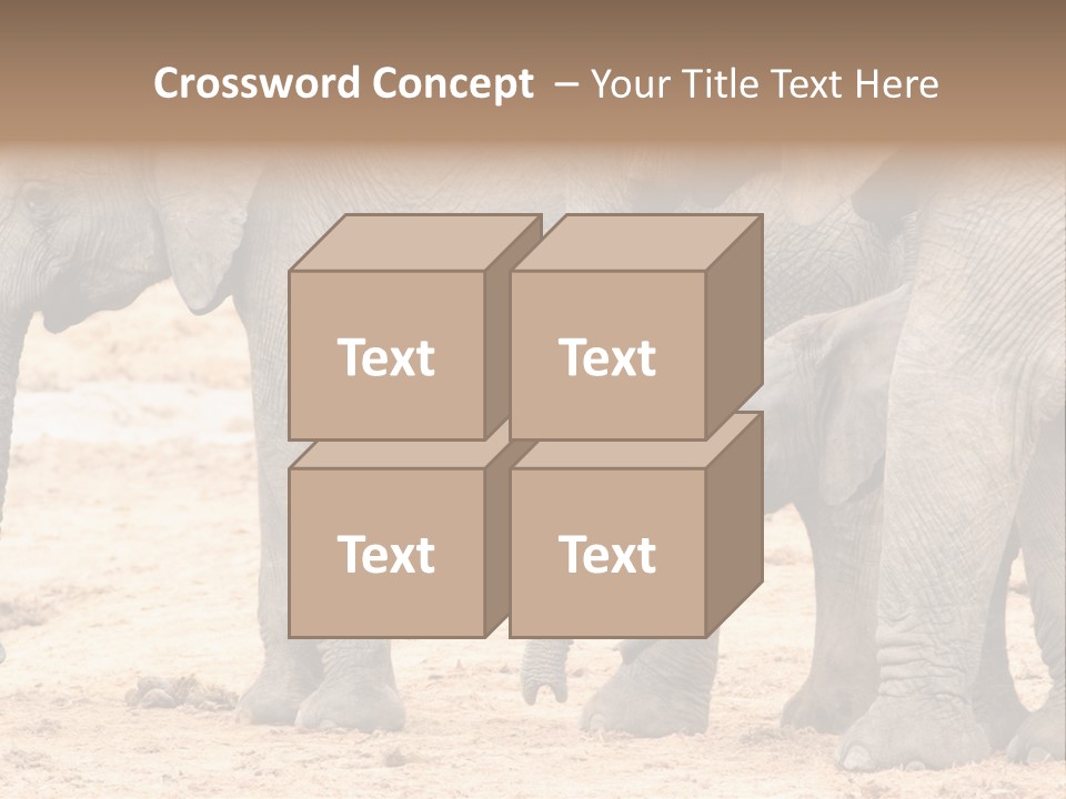 A Group Of Elephants Standing Next To Each Other PowerPoint Template