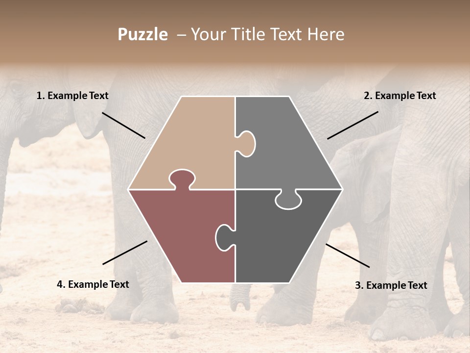 A Group Of Elephants Standing Next To Each Other PowerPoint Template