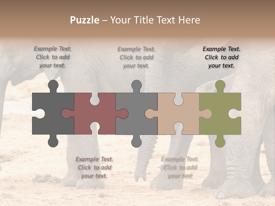 A Group Of Elephants Standing Next To Each Other PowerPoint Template