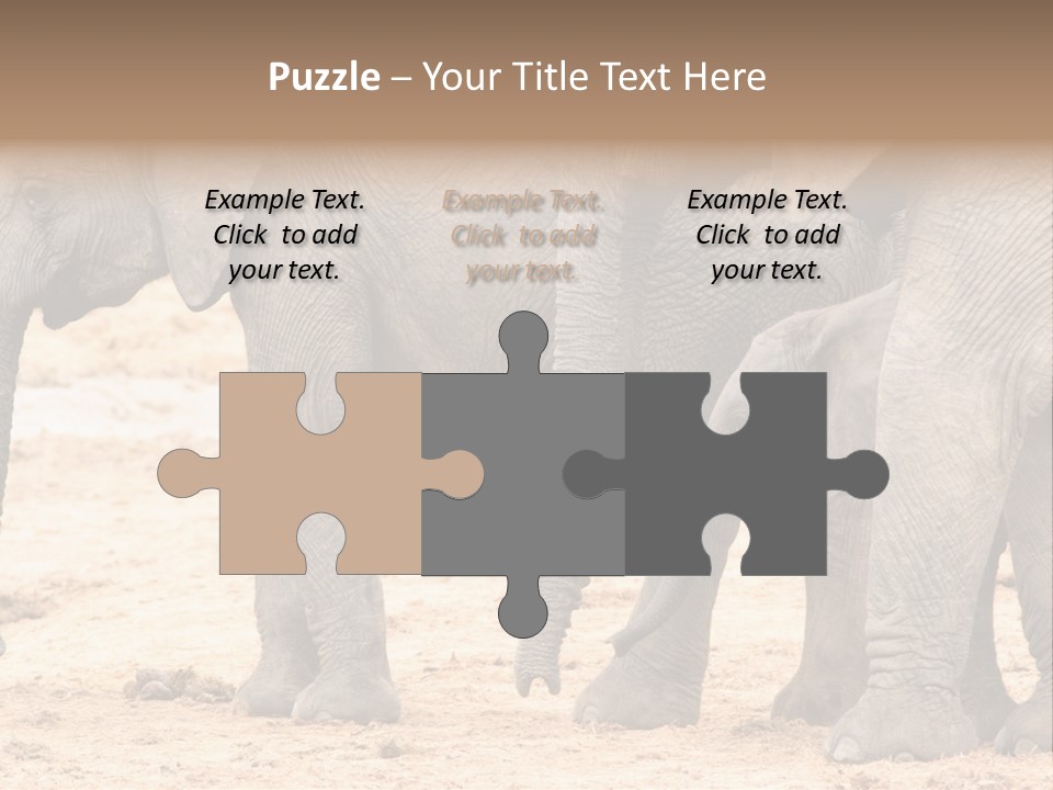 A Group Of Elephants Standing Next To Each Other PowerPoint Template