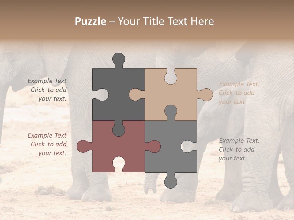A Group Of Elephants Standing Next To Each Other PowerPoint Template