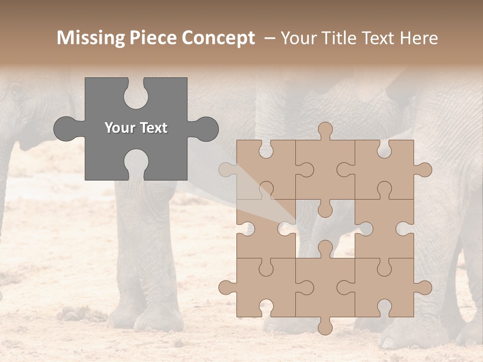 A Group Of Elephants Standing Next To Each Other PowerPoint Template