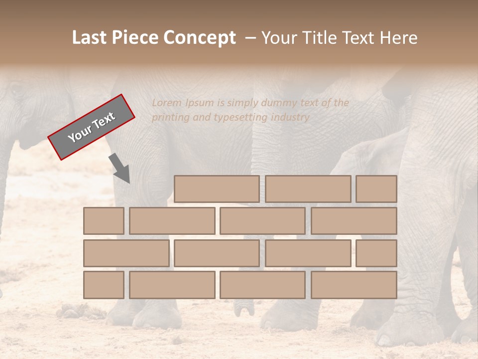 A Group Of Elephants Standing Next To Each Other PowerPoint Template