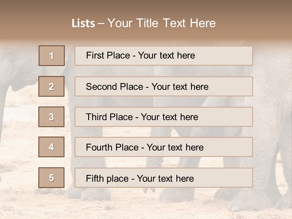 A Group Of Elephants Standing Next To Each Other PowerPoint Template