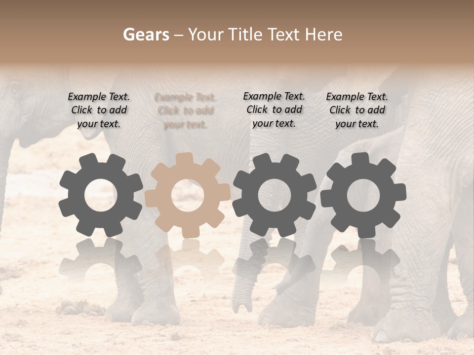 A Group Of Elephants Standing Next To Each Other PowerPoint Template