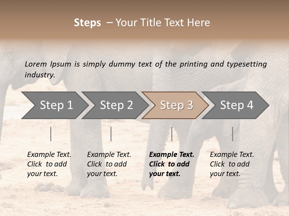 A Group Of Elephants Standing Next To Each Other PowerPoint Template