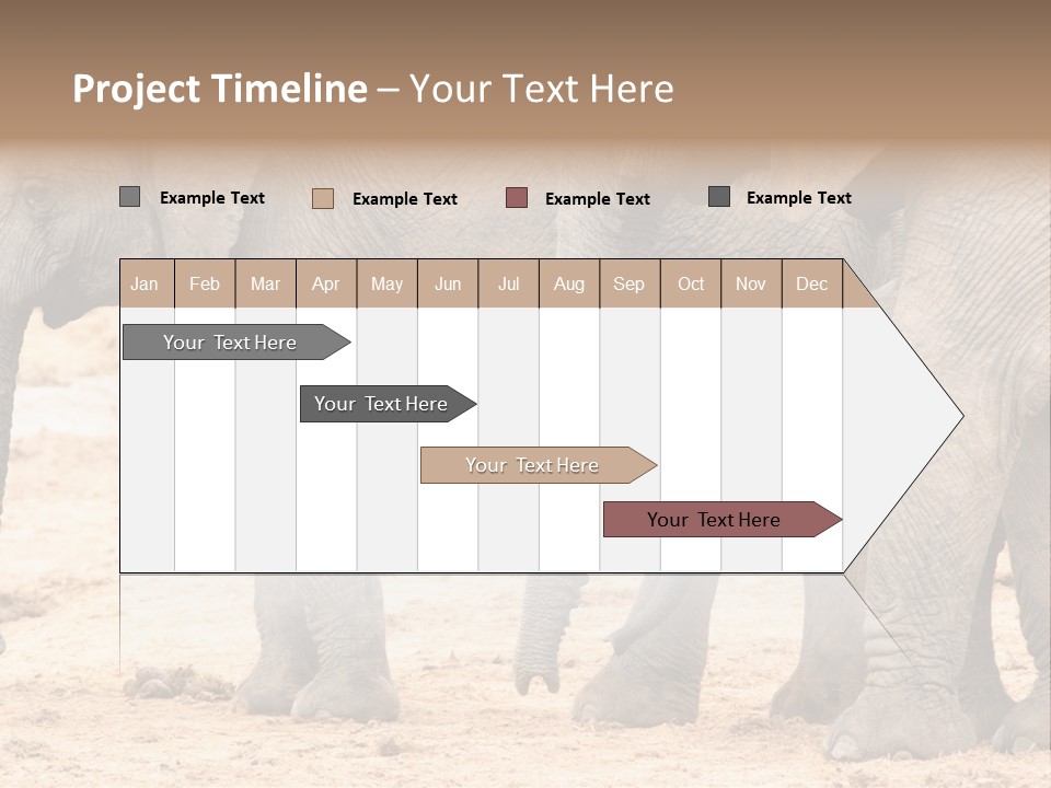 A Group Of Elephants Standing Next To Each Other PowerPoint Template