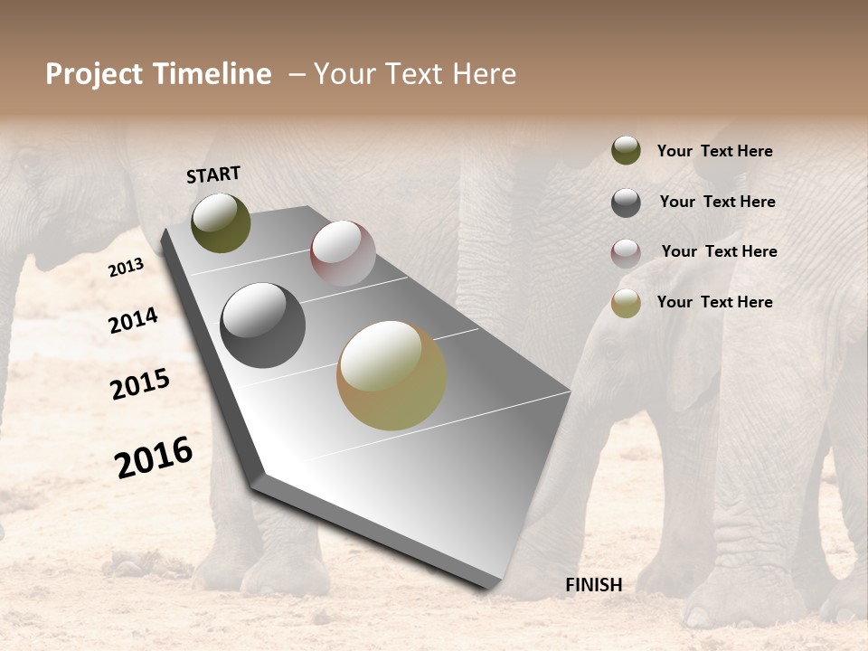 A Group Of Elephants Standing Next To Each Other PowerPoint Template