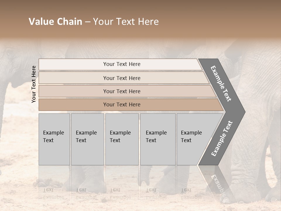 A Group Of Elephants Standing Next To Each Other PowerPoint Template