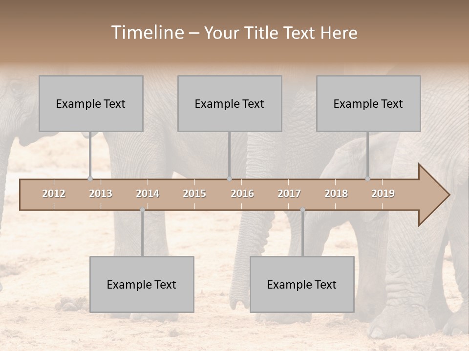 A Group Of Elephants Standing Next To Each Other PowerPoint Template