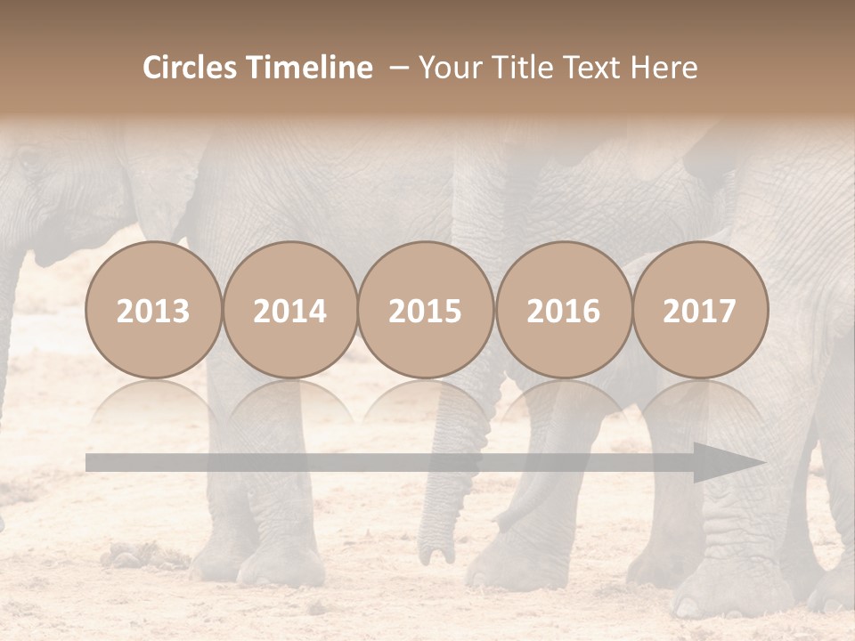 A Group Of Elephants Standing Next To Each Other PowerPoint Template