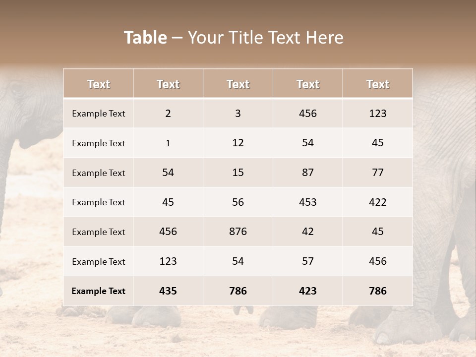 A Group Of Elephants Standing Next To Each Other PowerPoint Template